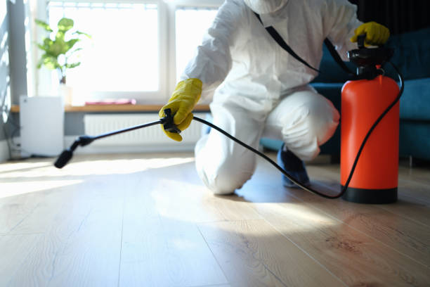 Reliable Sewage Cleanup contractor in Nashville, MI by Trauma Clean Pros